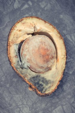 Koyu ahşap tahtada eski küflü avokado. Sağlıksız ve iğrenç meyveler.