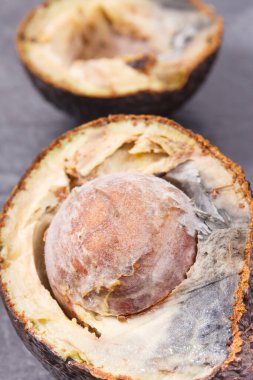 Koyu ahşap arka planda küf olan bir avokadonun iki yarısı. Sağlıksız yiyecekler