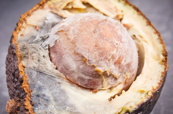 Koyu ahşap arka planda küf olan yarım bir avokado. Sağlıksız ve bozulmuş yemekler.