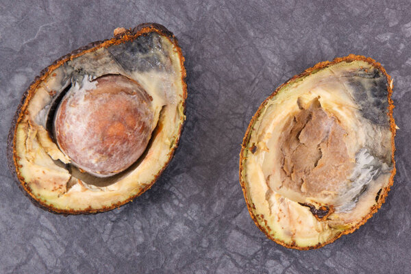 Old moldy avocado on dark wooden board. Unhealthy and disgusting fruit