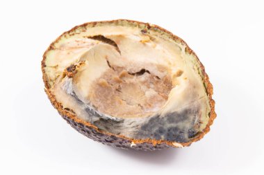 Beyaz arka planda küf olan yarım bir avokado. Sağlıksız ve bozulmuş yemekler.