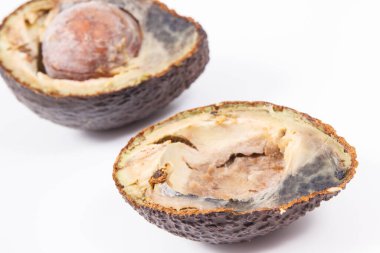 Küflü avokado. Beyaz arka planda sağlıksız ve iğrenç meyveler