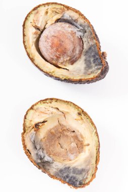 Küflü avokado. Beyaz arka planda sağlıksız ve iğrenç meyveler