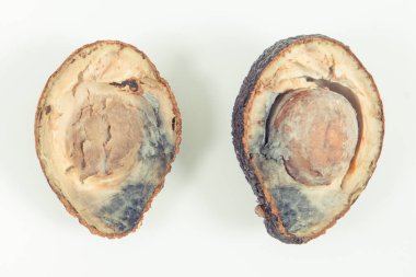 Beyaz arka planda küf olan yarım bir avokado. Sağlıksız ve bozulmuş yemekler.