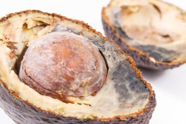 Beyaz arka planda küf olan yenilemez avokado. Sağlıksız yiyecekler