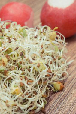 Alfalfa ve turp filizleri sandviçlere sağlıklı bir ek olarak. Doğal vitaminler ve mineraller