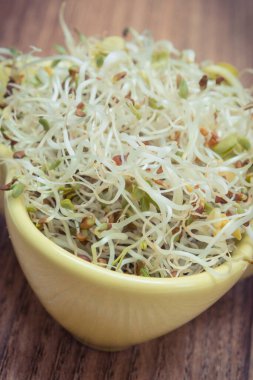 Alfalfa ve turp filizleri sandviçlere sağlıklı, besleyici ve doğal bir ilave.