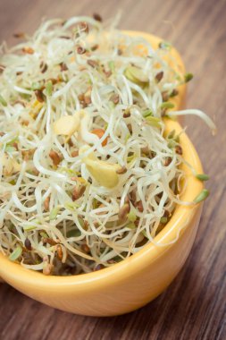 Alfalfa ve turp filizleri sandviçlere sağlıklı, besleyici ve doğal bir ilave.