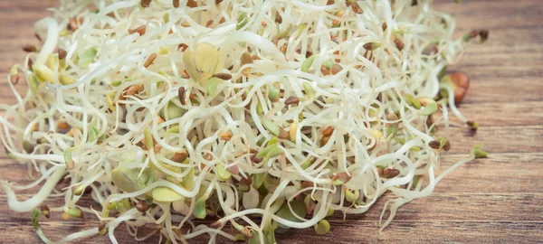 Alfalfa Radish Sprouts Healthy Nutritious Addition Sandwiches Source Natural Vitamins — Stock Photo, Image