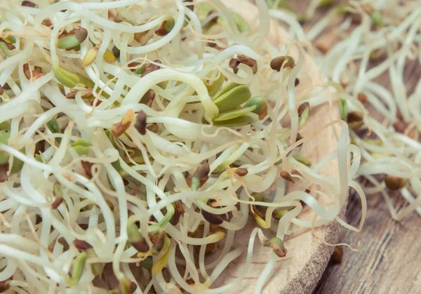 Alfalfa Radijs Spruiten Houten Lepel Gezonde Voedzame Aanvulling Sandwiches Bron — Stockfoto