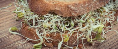 Alfalfa ve turp filizi ve kepekli ekmek dilimi. Sandviçlere sağlıklı bir ilave. Doğal vitaminler ve mineraller