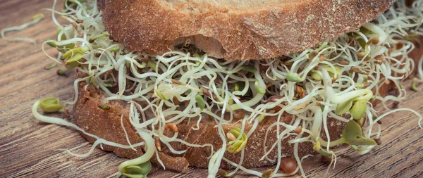 Alfalfa Turp Filizi Kepekli Ekmek Dilimi Sandviçlere Sağlıklı Bir Ilave — Stok fotoğraf