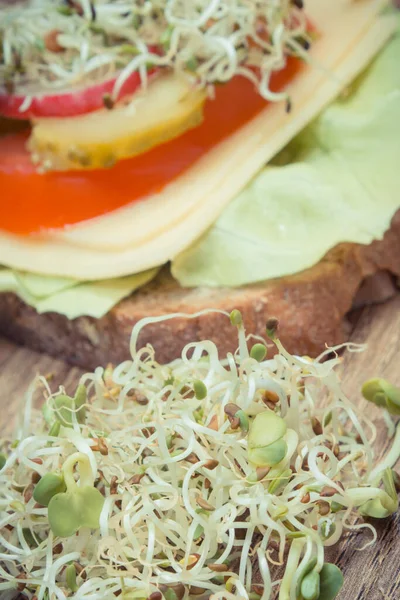Sandwich Con Pan Integral Verduras Frescas Brotes Rábano Saludables Fuente —  Fotos de Stock