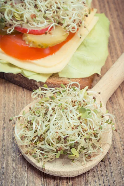 Alfalfa Radijs Spruiten Volkoren Sandwich Met Kaas Groenten Gezonde Spruiten — Stockfoto