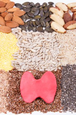 Kırmızı tiroid şekli ve sağlıklı tiroid için en iyi besleyici doğal besin.