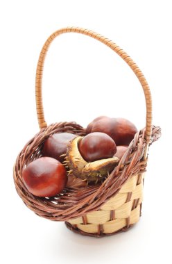 hasır sepet beyaz arka plan üzerinde kabuk ile kestane