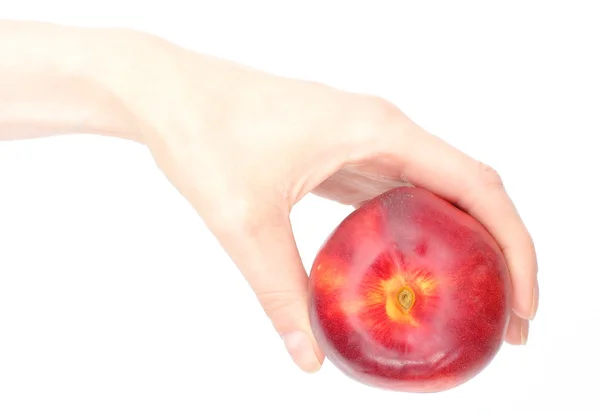 Womans hand with a fruit nectarine on white background — Stock Photo, Image