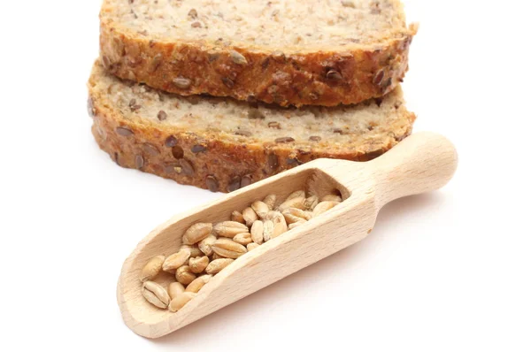 Grão de trigo natural em colher de madeira e pedaços de pão — Fotografia de Stock