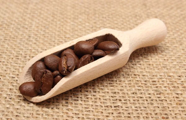 Heap of coffee on wooden spoon — Stock Photo, Image