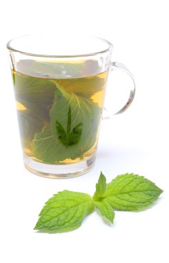 taze yeşil nane ve arka planda içecek bir fincan