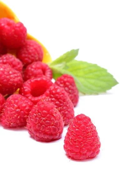 Fresh raspberries pouring out of yellow bowl. White background — Stock Photo, Image