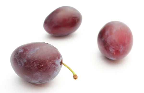 Prunes fraîches et naturelles sur fond blanc — Photo