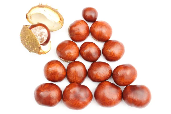 Chestnut with crust on a white background — Stock Photo, Image