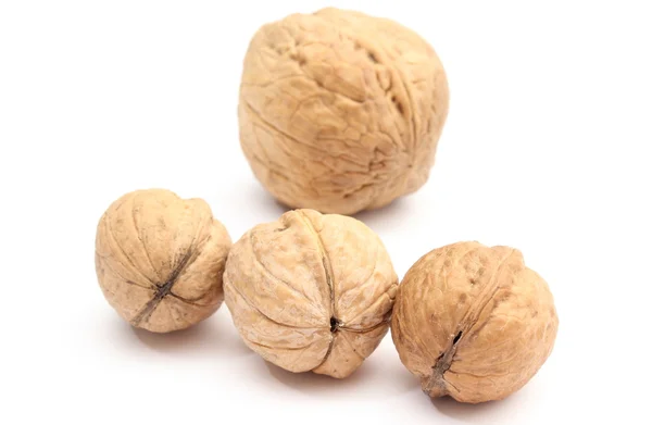 Brown and fresh walnuts on white background — Stock Photo, Image