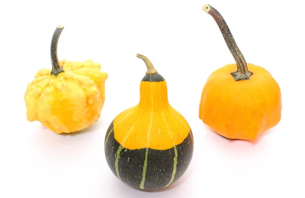 Calabazas naturales, de color sobre fondo blanco —  Fotos de Stock