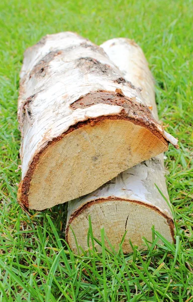 Stack of cut logs firewood from silver birch tree — Stock Photo, Image