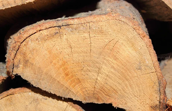 Крупним планом сухі подрібнені дрова — стокове фото