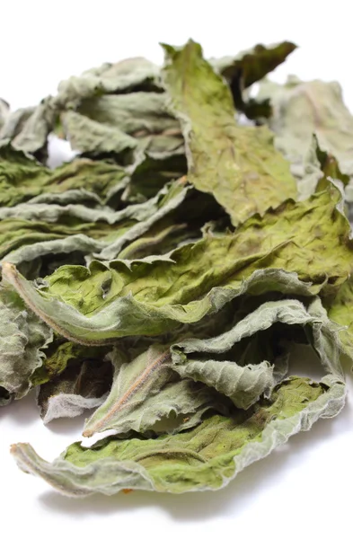 Hojas secas de menta sobre fondo blanco — Foto de Stock