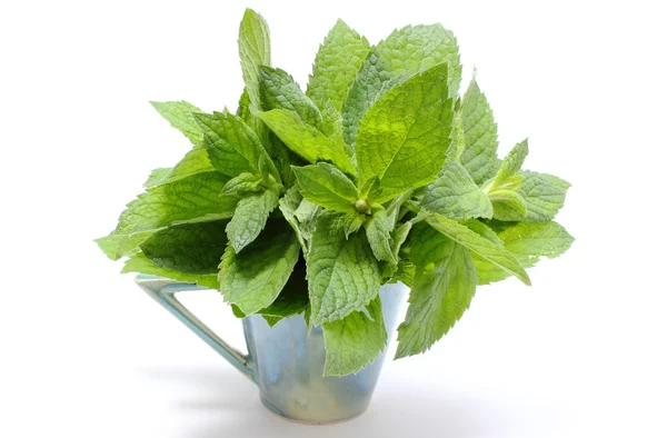 Bunch of fresh green mint in glass cup on white background — Stock Photo, Image