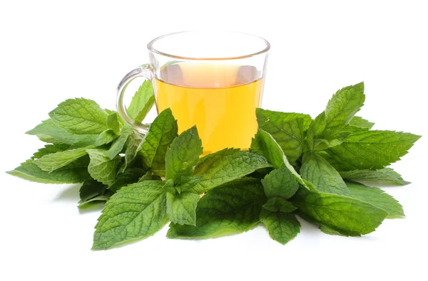 Fresh green mint and cup of beverage. White background — Stock Photo, Image