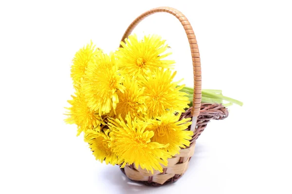 Flores amarelas de dente-de-leão em cesta de vime — Fotografia de Stock