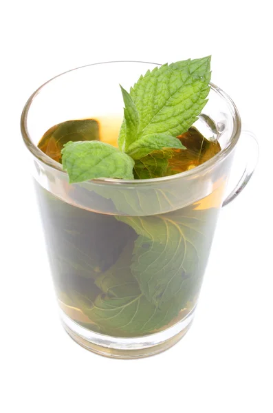 Fresh green mint in cup of beverage. White background — Stock Photo, Image