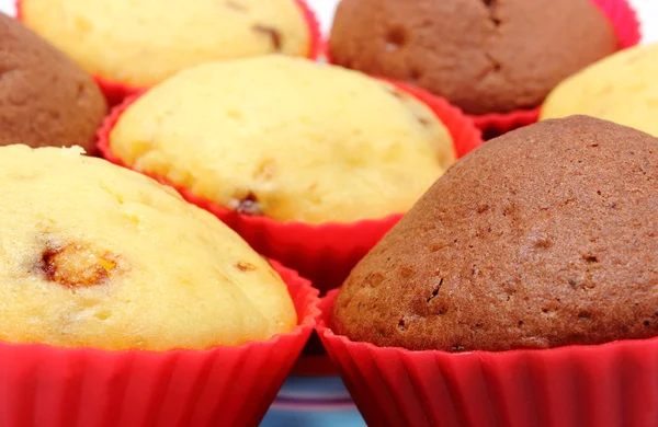 Čerstvé pečené muffiny s čokoládou na barevné desky — Stock fotografie