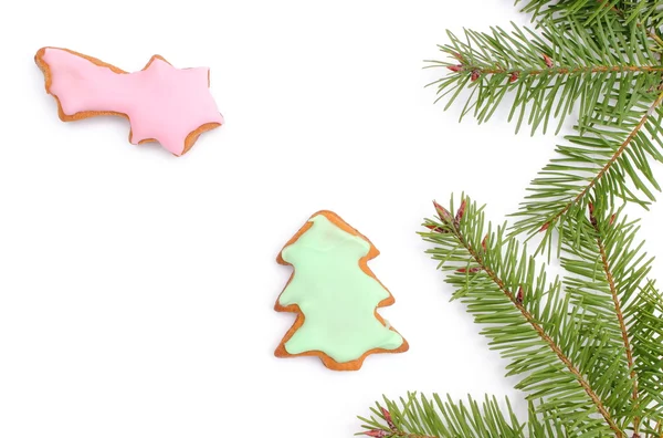 Pepparkakor med spruce grenar på vit bakgrund — Stockfoto