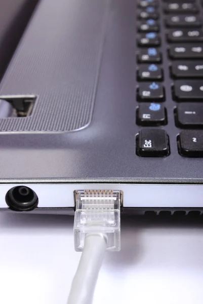 Cabo de internet conectado ao laptop — Fotografia de Stock