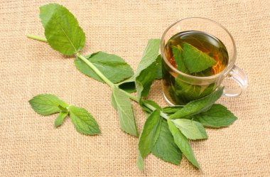 Taze yeşil nane ve çuval bezi doku içecek fincan