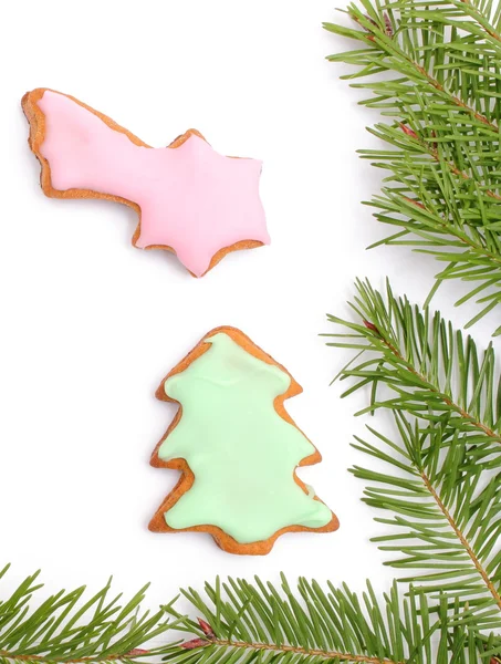 Pepparkakor med spruce grenar på vit bakgrund — Stockfoto