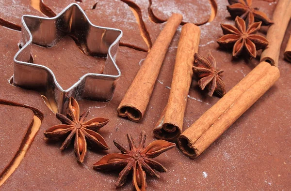 Cookie cutters en specerijen op deeg voor peperkoek — Stockfoto