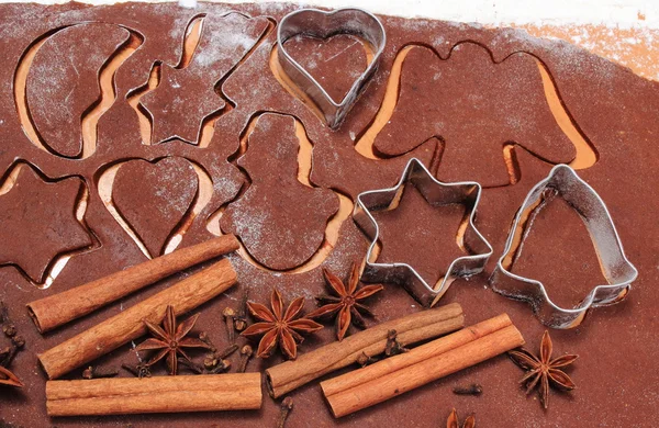 Cookie cutters and spice on dough for gingerbread — Stock Photo, Image