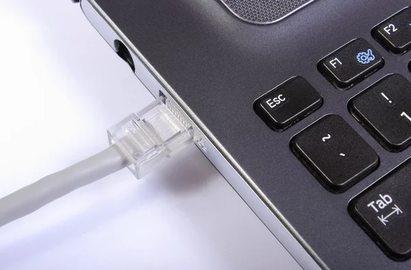 Connected internet cable to laptop — Stock Photo, Image