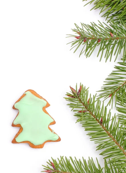Gingerbread with spruce branches on white background — Stock Photo, Image