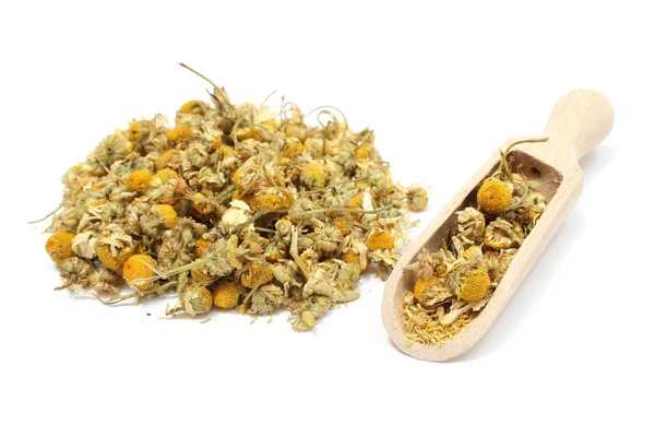 Heap of dried chamomile on wooden spoon — Stock Photo, Image