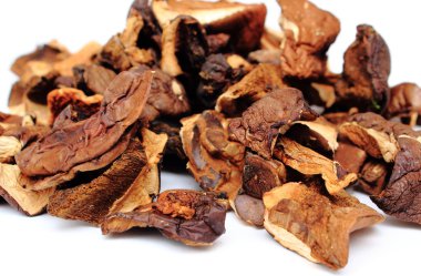 Beyaz arka planda kurumuş mantar yığını