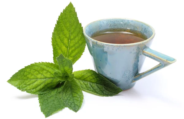 Frische grüne Minze und Becher mit Getränken. weißer Hintergrund — Stockfoto