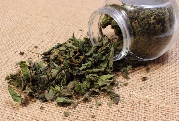 Dried nettle pouring out of glass jar — Stock Photo, Image