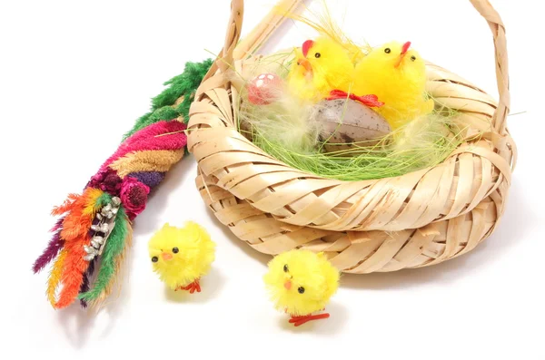 Easter chickens in wicker basket and colorful palm — Stock Photo, Image